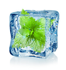 Image showing Ice cube and mint