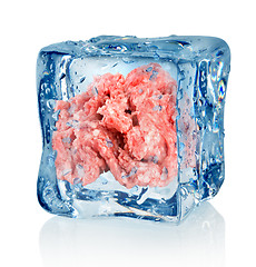 Image showing Ice cube and minced meat