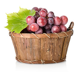 Image showing Blue grape with leaf