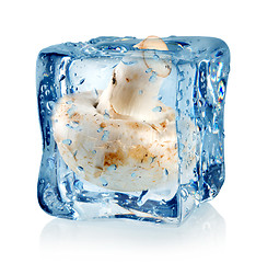 Image showing Ice cube and champignon