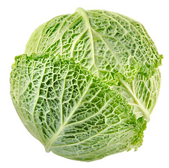 Image showing Cabbage top view