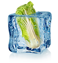 Image showing Ice cube and chinese cabbage