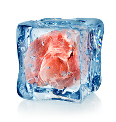 Image showing Ice cube and pork