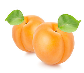 Image showing Two apricots with leaves