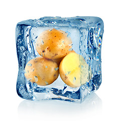 Image showing Ice cube and potato