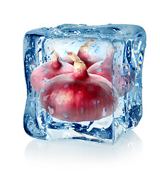 Image showing Ice cube and red onion
