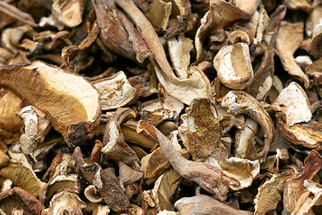 Image showing Dry mushroom