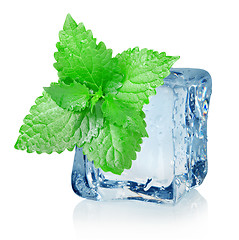 Image showing Ice cube and mint
