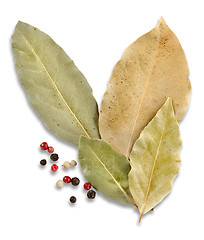 Image showing Bay leaves and spices
