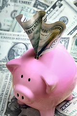 Image showing Stuffed piggy bank with US dollars