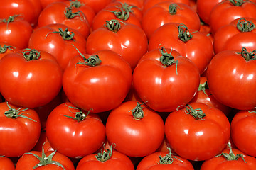 Image showing Organic tomatoes