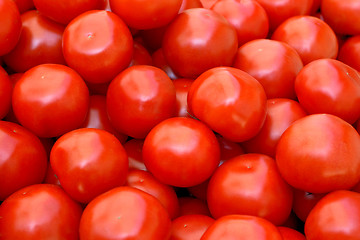 Image showing Red tomatoes