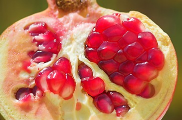Image showing an open pomegranate