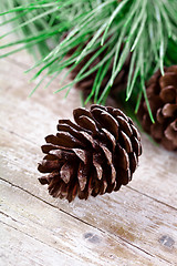 Image showing christmas fir tree with pinecones 