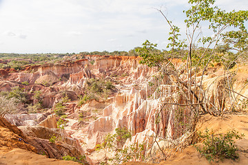 Image showing Marafa Canyon - Kenya