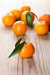 Image showing tangerines with leaves 