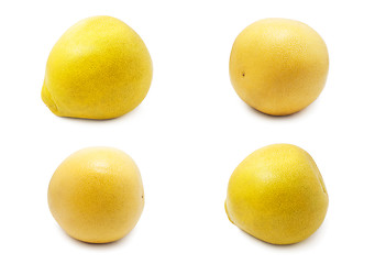 Image showing Pomelo