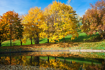 Image showing Autumn