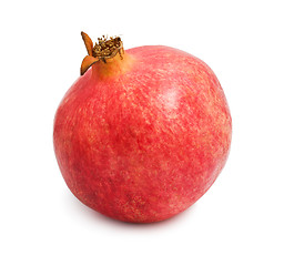 Image showing Pomegranate