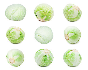 Image showing Cabbage