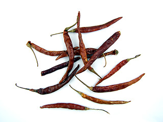 Image showing Dried arbol chilis