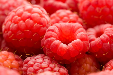 Image showing Raspberries