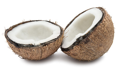 Image showing Coconut