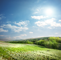 Image showing Spring meadow