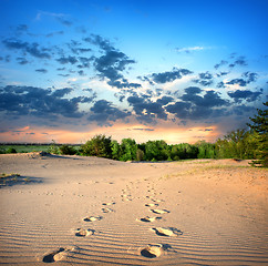 Image showing Footprints in the sand