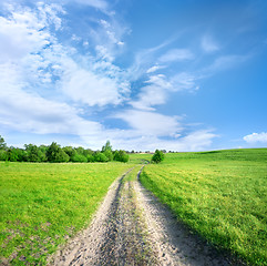 Image showing Country road in a field