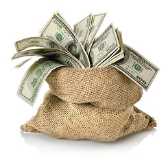 Image showing Money in the bag