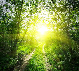 Image showing Country road and sunlight