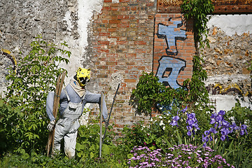 Image showing Scarecrow