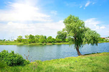 Image showing Tree and lake