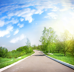 Image showing Paved road in a green park