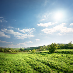 Image showing Country road in a meadow