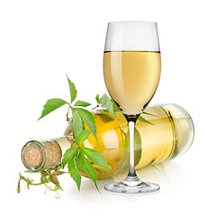 Image showing White wine glass and vine