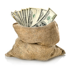 Image showing Money in the bag isolated