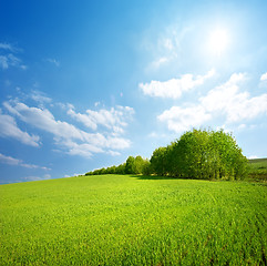 Image showing Field of grass and trees