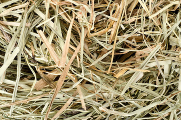 Image showing Background of  meadow hay