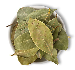 Image showing Bay leaves in plate isolated