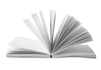 Image showing Book with fanned pages isolated