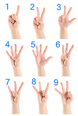 Image showing Collage hand showing number