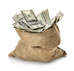 Image showing Dollar in the bag