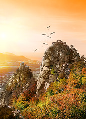 Image showing Birds over the Valley of Ghosts