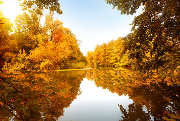 Image showing Autumn forest by the river