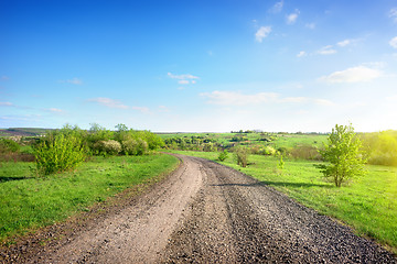 Image showing Road in a rural area