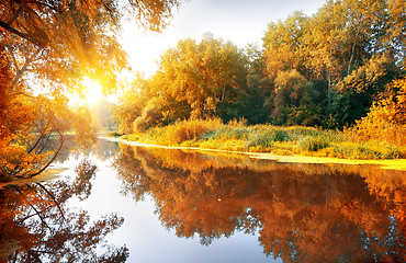 Image showing River in a delightful autumn forest