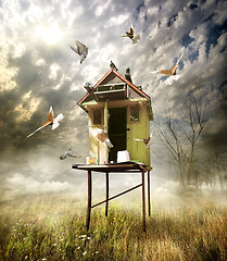 Image showing Wooden dovecote