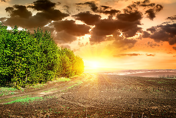 Image showing Sunset over black ploughed